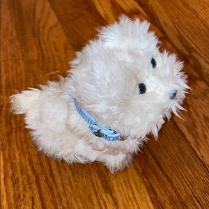Anerican Girl Dog Coconut Dog